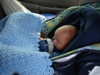 Fits so Nice in the Car Seat