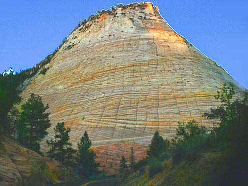 checkerboardfilm.jpg (39657 bytes)