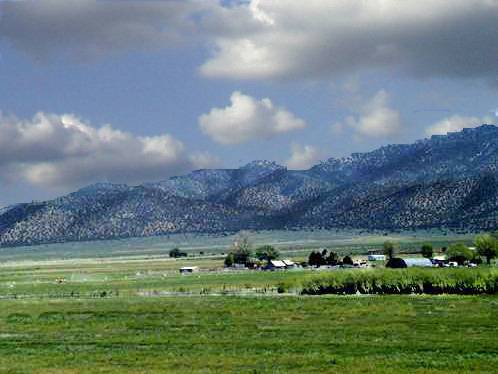 farmhills-c.jpg (16557 bytes)