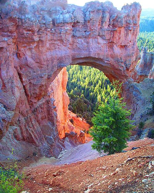 naturalbridge3-c.jpg (92418 bytes)