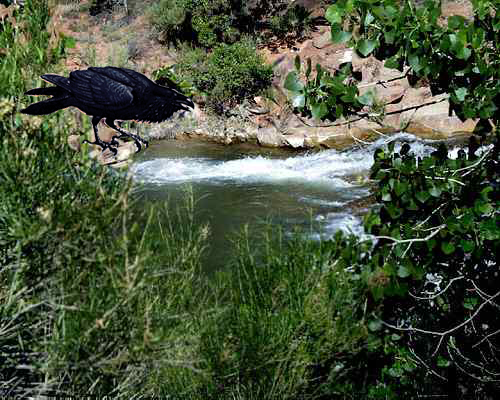 ravenstream-c.jpg (35875 bytes)