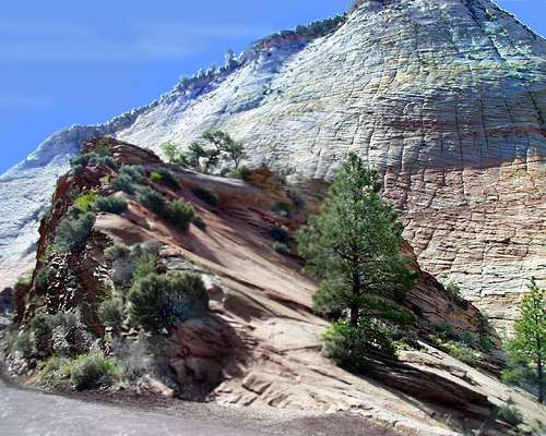 textures-c.jpg (46349 bytes)