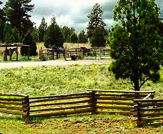 view-c.jpg (26016 bytes)