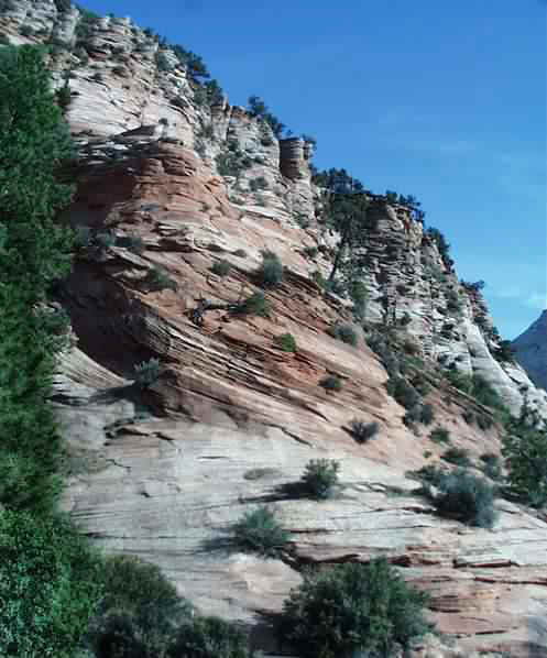 zion6-c.jpg (34946 bytes)