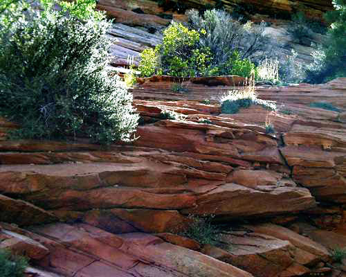 zionlayerslight-c.jpg (33467 bytes)