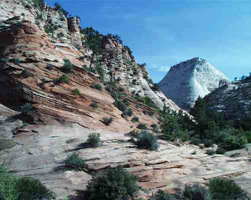 zionmuted-c.jpg (24516 bytes)