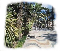 Torrevieja Promanade