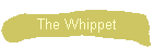 The Whippet