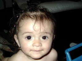 A1.JPG (857453 bytes)