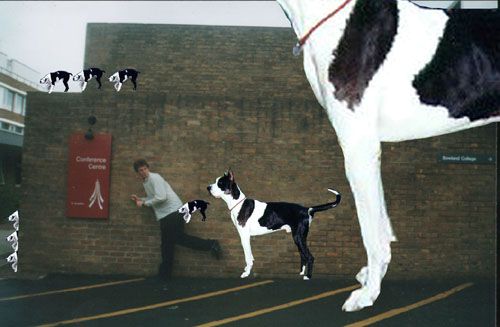 ...and my worst nightmare.