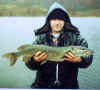 pike3.jpg (23265 bytes)