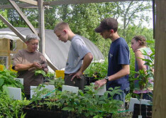 Learning about beneficial plants.