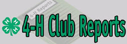 4-H Project Report graphic