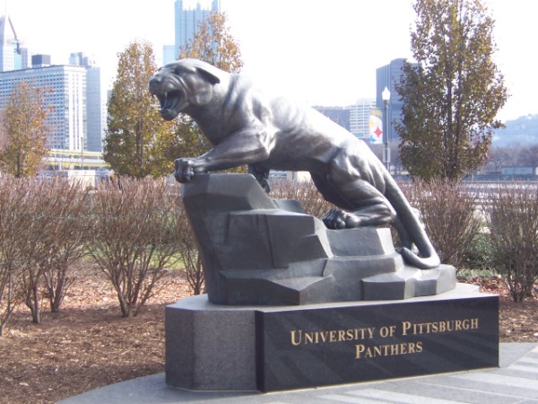 The University of Pittsburgh Panther 