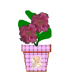 The Site Fights Spirit Flowers