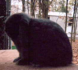 Gromley's AL1 a.k.a. Alexander the Great