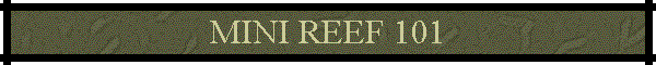 MINI REEF 101