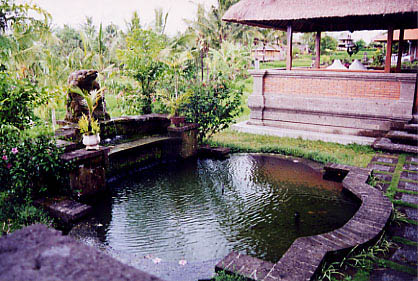 bungalow_pond