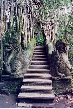 monkey_forest_gateway