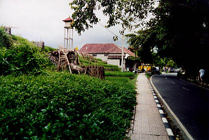 monkey_forest_road01
