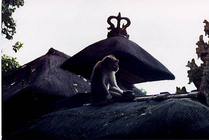 monkey_forest_temple