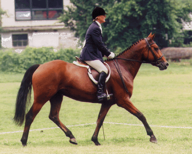 JEF North Springs Cerafin