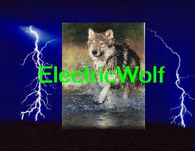 ElectricWolf