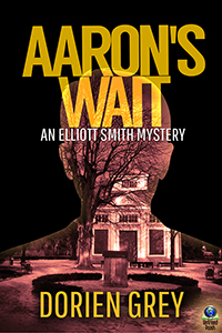 Cover of "Aaron's Wait"