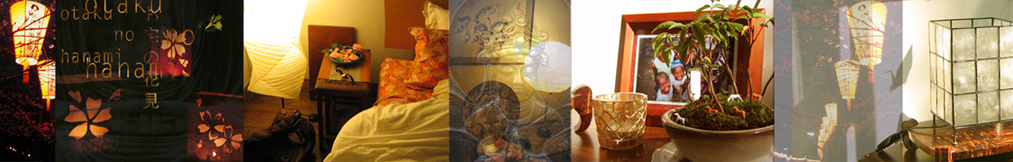 elektra's original tokyo home design