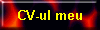 CV-ul meu