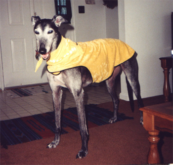 Boof 
man in yellow jacket