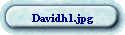 Davidh1.jpg