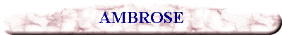 AMBROSE