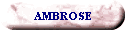 AMBROSE
