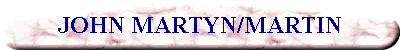 JOHN MARTYN/MARTIN