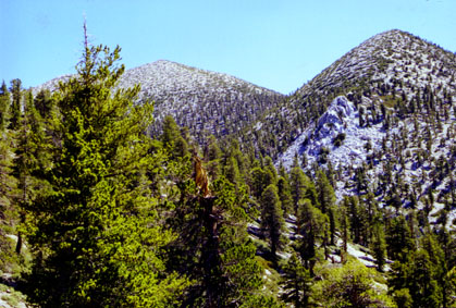 ridgetowardssummit.JPG (69119 bytes)