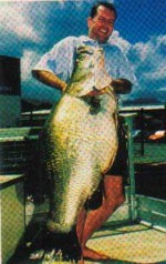 Photo from www.AmazingAustralia.com.au, Fishing Lake Tinaroo