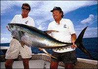 Bermuda Yellowfin Photo from SaltwaterSportsman.com, Bermuda High 
By Tom Richardson