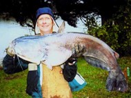 Tennessee Angler Recognition Program, Blue Catfish Photo
