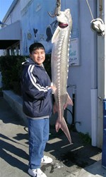 California Delta Chambers Photo, Brandon's Sturgeon