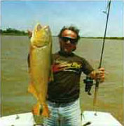 Hotel Westfalenhaus Dorado Photo