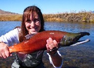 ColoradoTroutHunters.com, Kokanee Photo