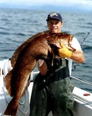 AlaskaSmokedFish.com Lingcod Photo