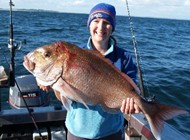 Fishing.net.nz, 20 Pound Snapper Photo