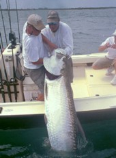 Photo, Bounty Hunter Florida fishing charters and guide service