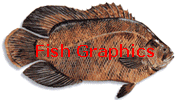 Fish Graphics