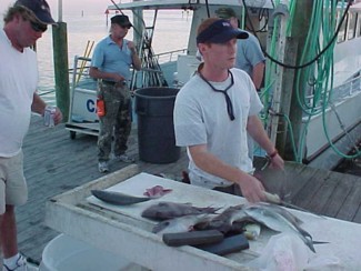 Adam cleans our fish