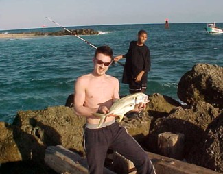 Jack Crevalle