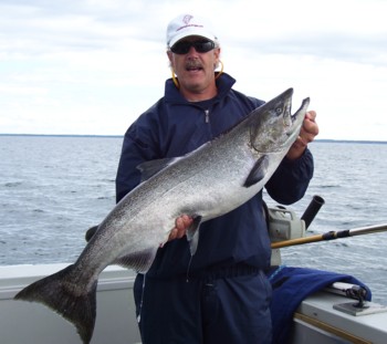 The publisher's king salmon from Lake Ontario