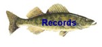 Lake Champlain Records